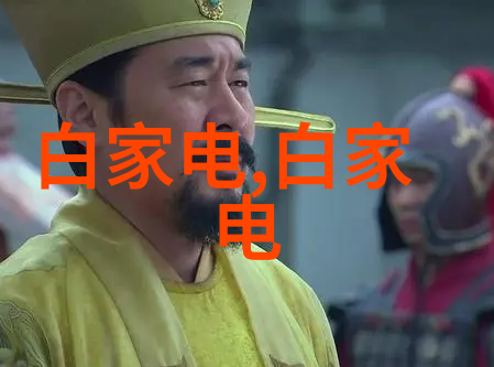 电力引航水电安装主体施工的全貌