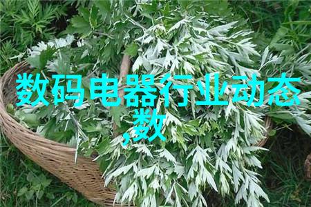 DN50金属环矩鞍填料助力提升过滤效率