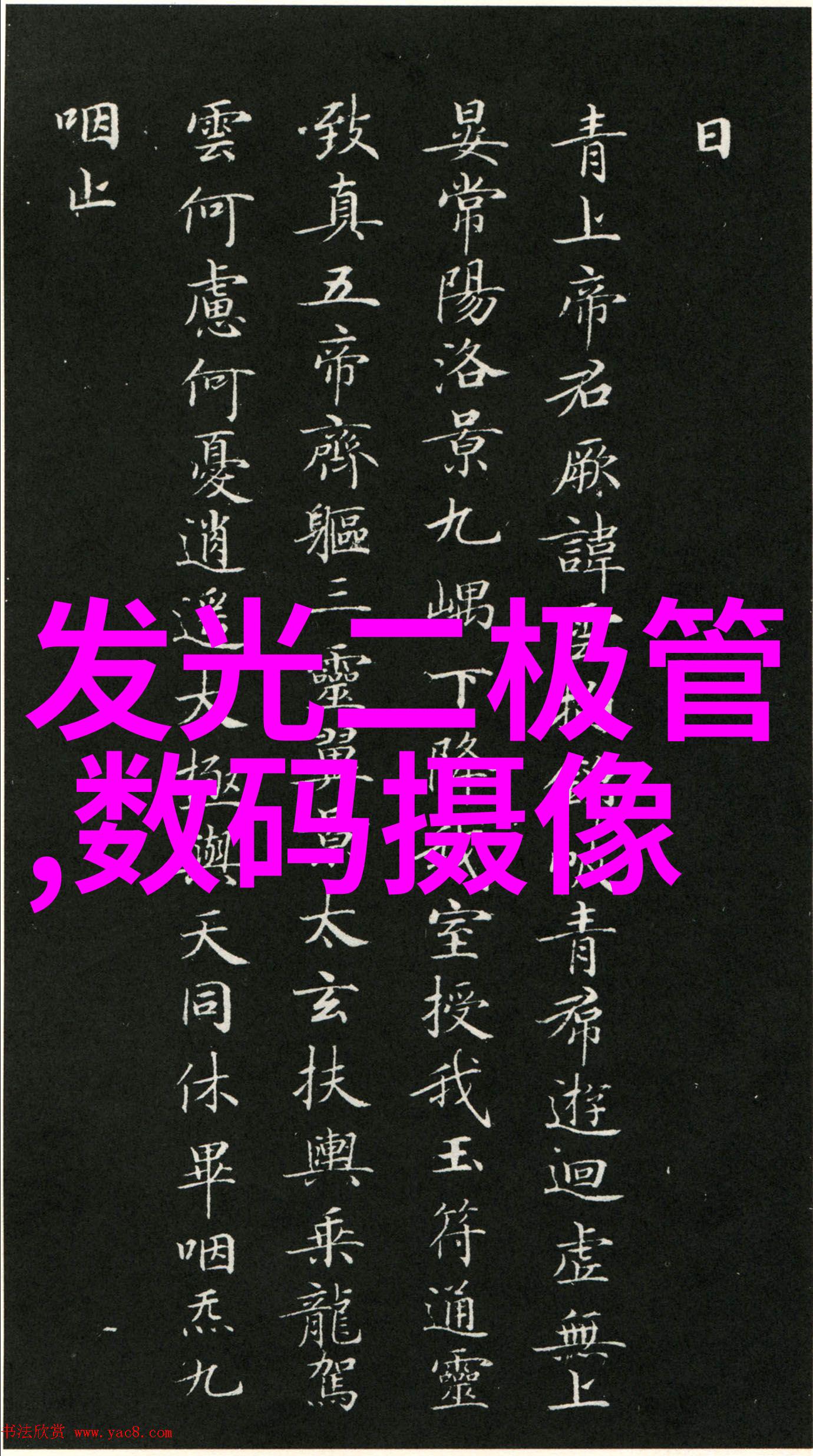 冰城摄影江湖再起风云大众摄影时代呼唤你的镜头