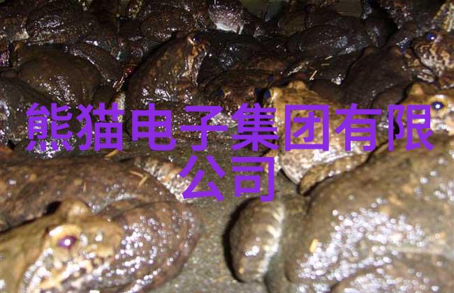 佛山不锈钢厂家铸就产业传奇的坚韧之城