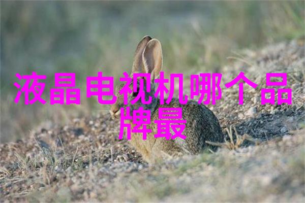 数码电器新闻前沿探讨行业动态与创新科技