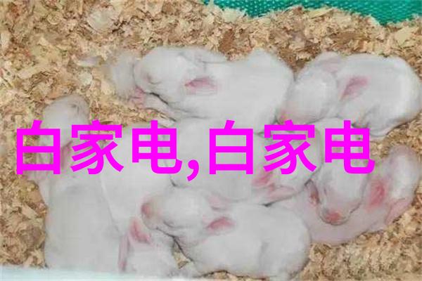 机心之渊离心萃取器的秘密