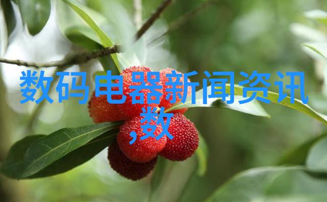 暴君的笼中雀 - 囚翼叹息暴君之下的一只自由梦想