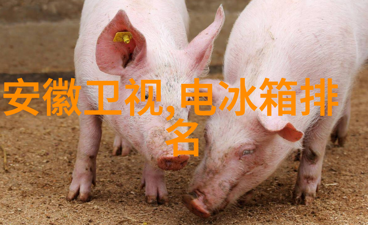 五竹是机器人吗揭秘其背后的真实面目
