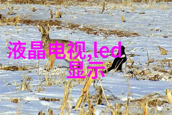 晓星孤屿 - 遥望天际晓星孤屿的诗意沉思