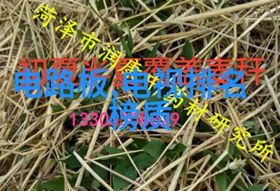 防水补漏北京的隐秘角落与璀璨面貌
