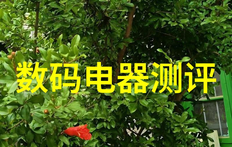 数码电器新闻资讯电器界笑星争霸赛看看谁家产品最搞笑