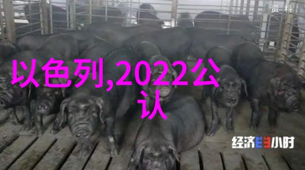 家用冰箱照片我的小冷藏大厨从零到英雄的故事