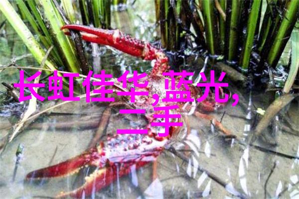 华为芯片突破最新消息-华为自主芯片技术再创佳绩5纳米工艺的新里程碑
