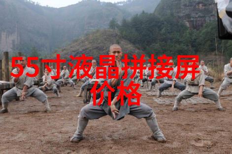 高效反渗透净化水设备确保清洁饮用水的未来