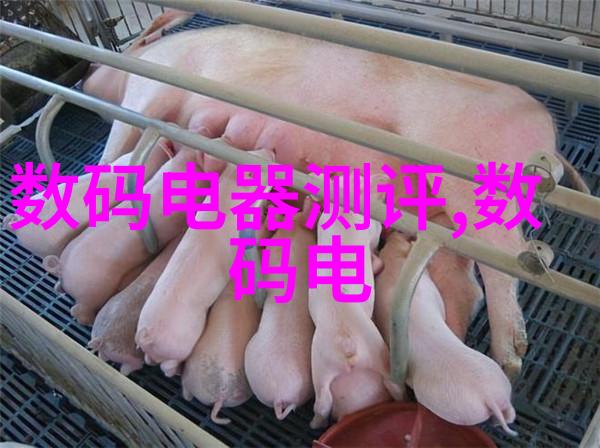 微小奇迹的壁垒芯片之谜