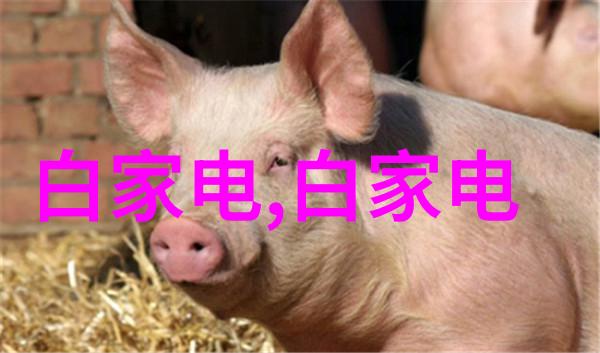 古风奇谍貂蝉笑语中两大兔子轻盈跳动一曲追踪时光的主题歌