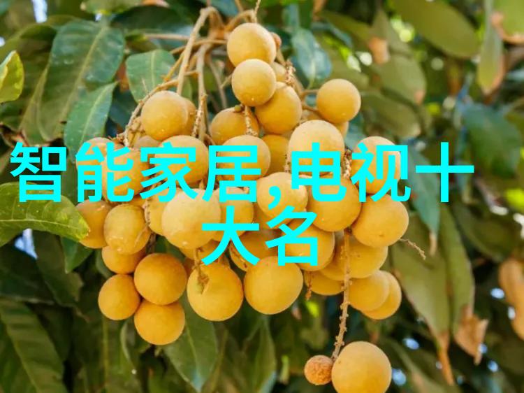 家用洗衣机与干衣机的区别家庭生活中的便利设备