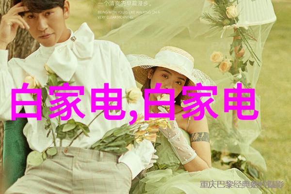 材料科学-鲍尔环与规整填料强化复合材料的新纪元