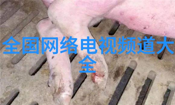 5. 什么是最佳的清洁方法来维护不锈钢表面
