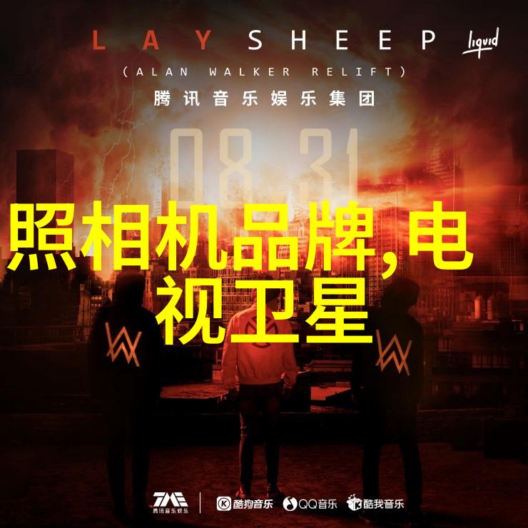 股票市场的智慧上证红利510880市盈率之谜