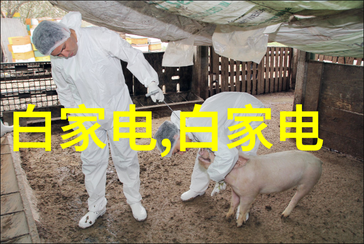 大型中药提取浓缩设备我的巨龙如何用它来让你的中药提取更高效