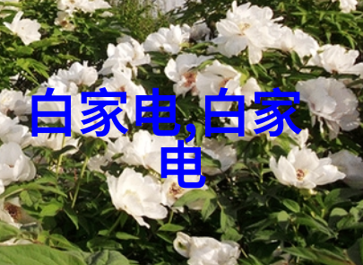 环保喷漆技术的多样化选择与实用性探索