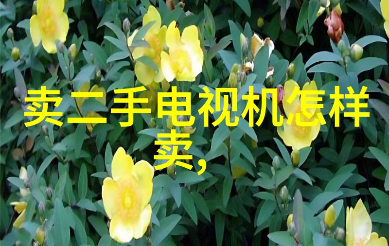 辐照灭菌设备科技之光安全之盾但如何确保其无害化