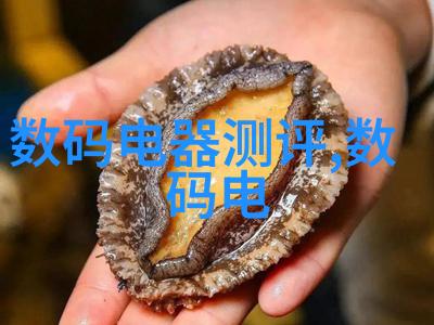 项目资金申请报告详细分析与实施方案