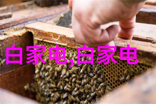 爱你是人间妄想关于不切实际的爱情憧憬