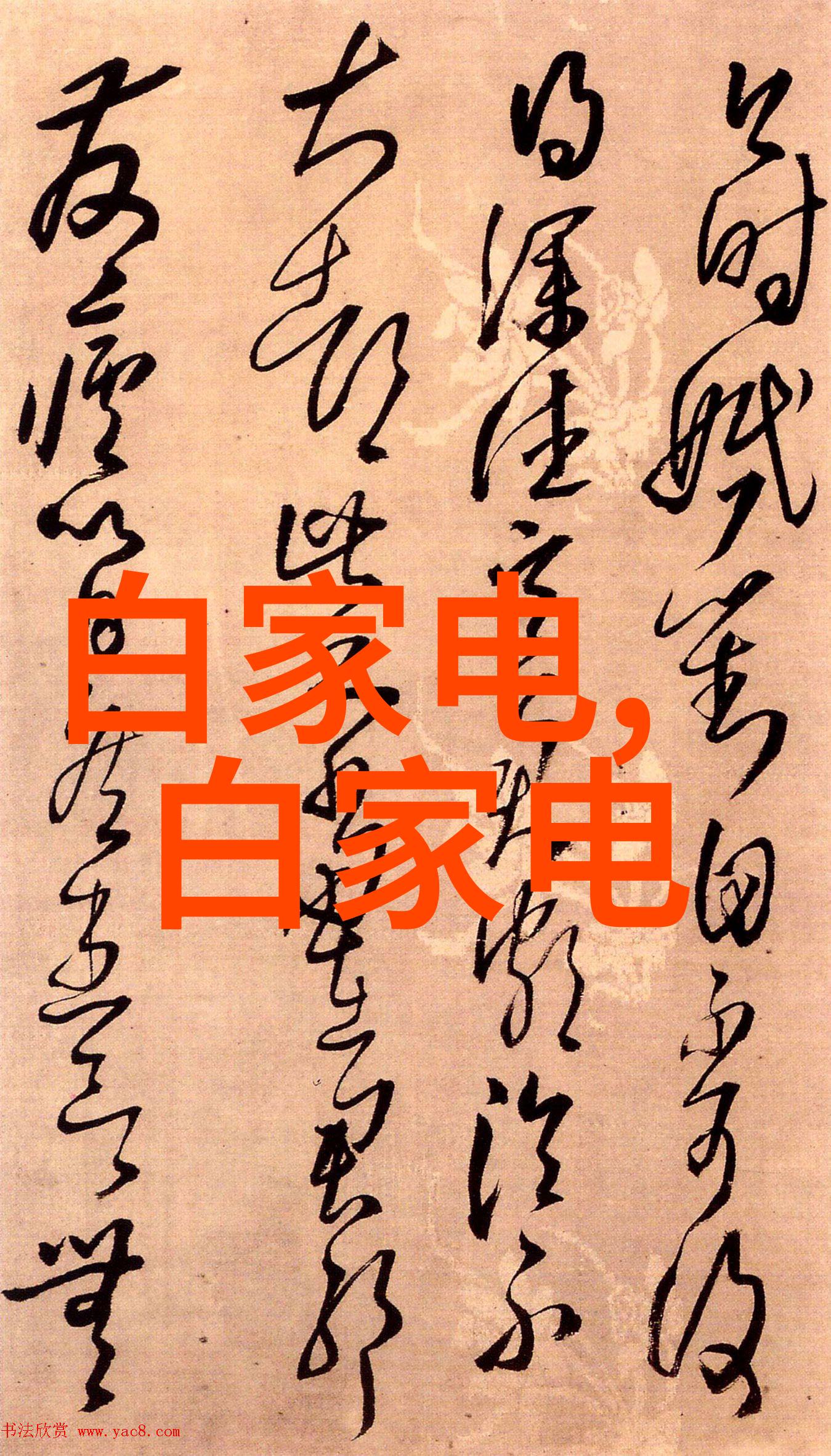 闪光瞬间镜头下的捕捉艺术