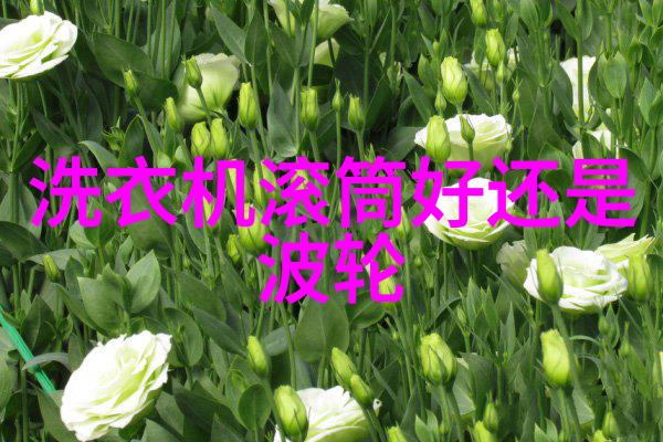专注绿色环保领先的喷漆房废气处理设备生产厂家解决环境污染问题