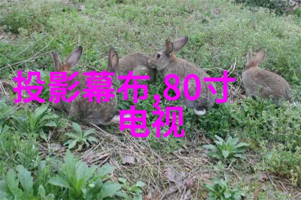 高效控制工控高压变频器的应用与优化