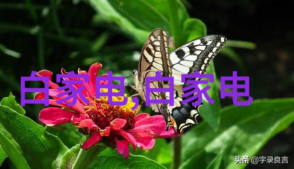 化工过滤设备精密分离的关键技术与应用概述