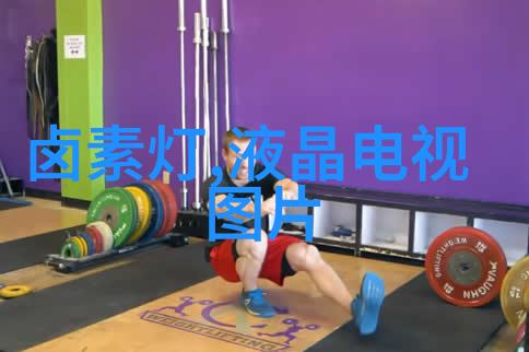 在遥远的未来世界里为什么aspen波纹丝网填料成为了人类创造出最为神秘与独特的生态城市