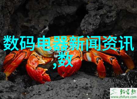 台积电之谜从芯片巨擘到美国的棋子