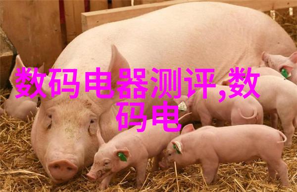 小型污水处理设备厂家生态清洁的守护者