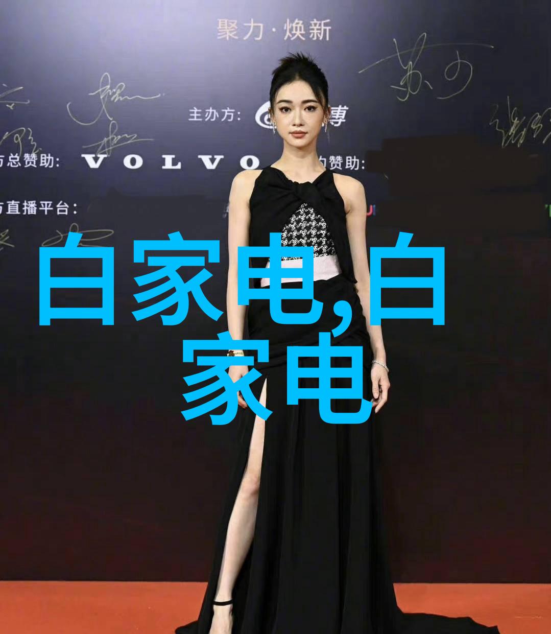 剖析杀机屠宰设备的现代奇观
