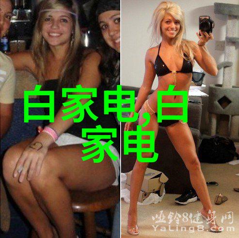 逆袭之路炮灰通房的不屈斗志