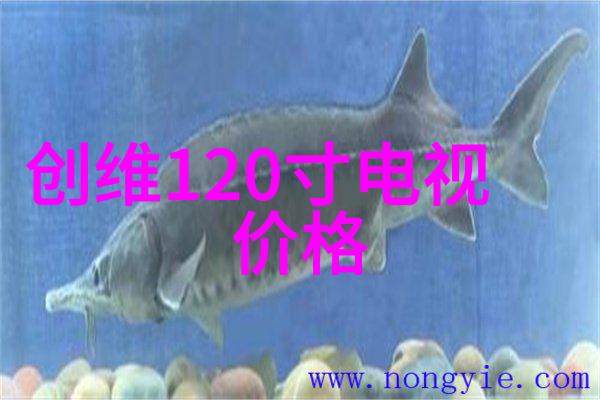 小型除尘器清洁新维度的微型卫士
