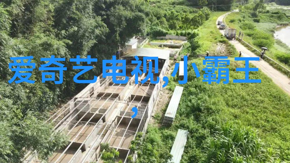 电影摄影器材全览从相机到光线控制揭秘银幕之美的创造者们使用的工具