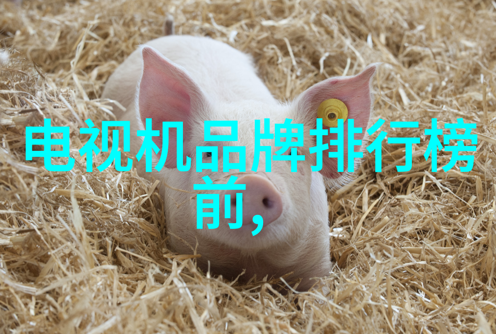 百合花的花语探索其在不同情境下的美丽意义