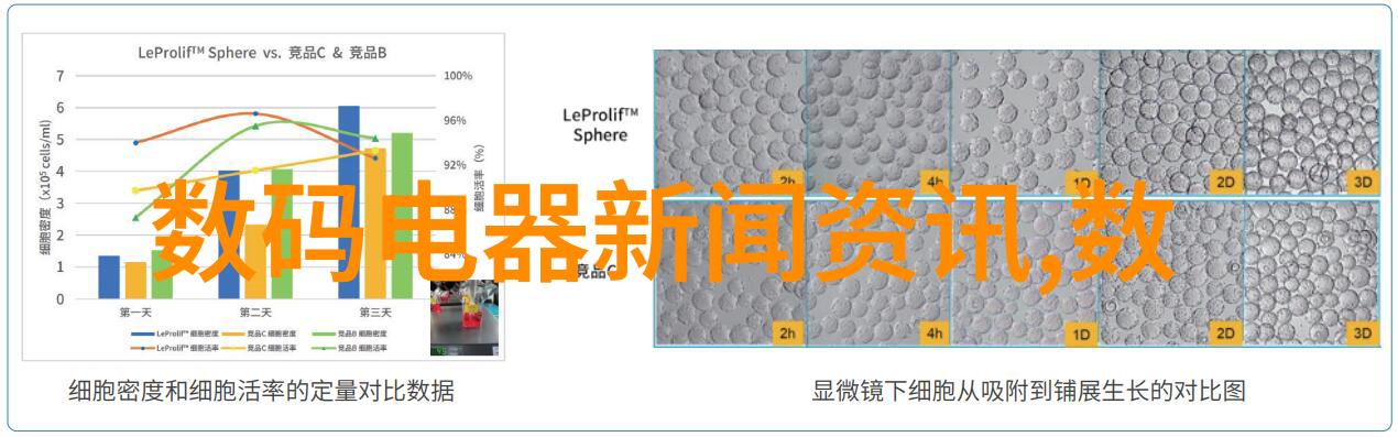 建筑工程质量管理条例实施细则确保工程品质的规范指南