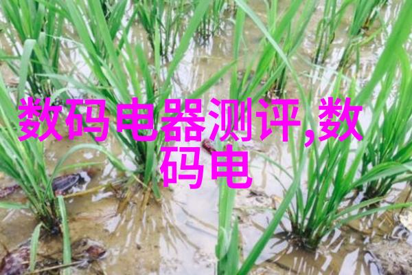 上我探索自我认知与个人成长的旅程