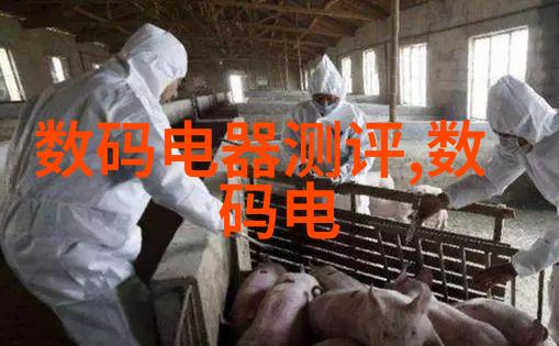 海鲜大派对尝尝老师的大扇贝盛宴