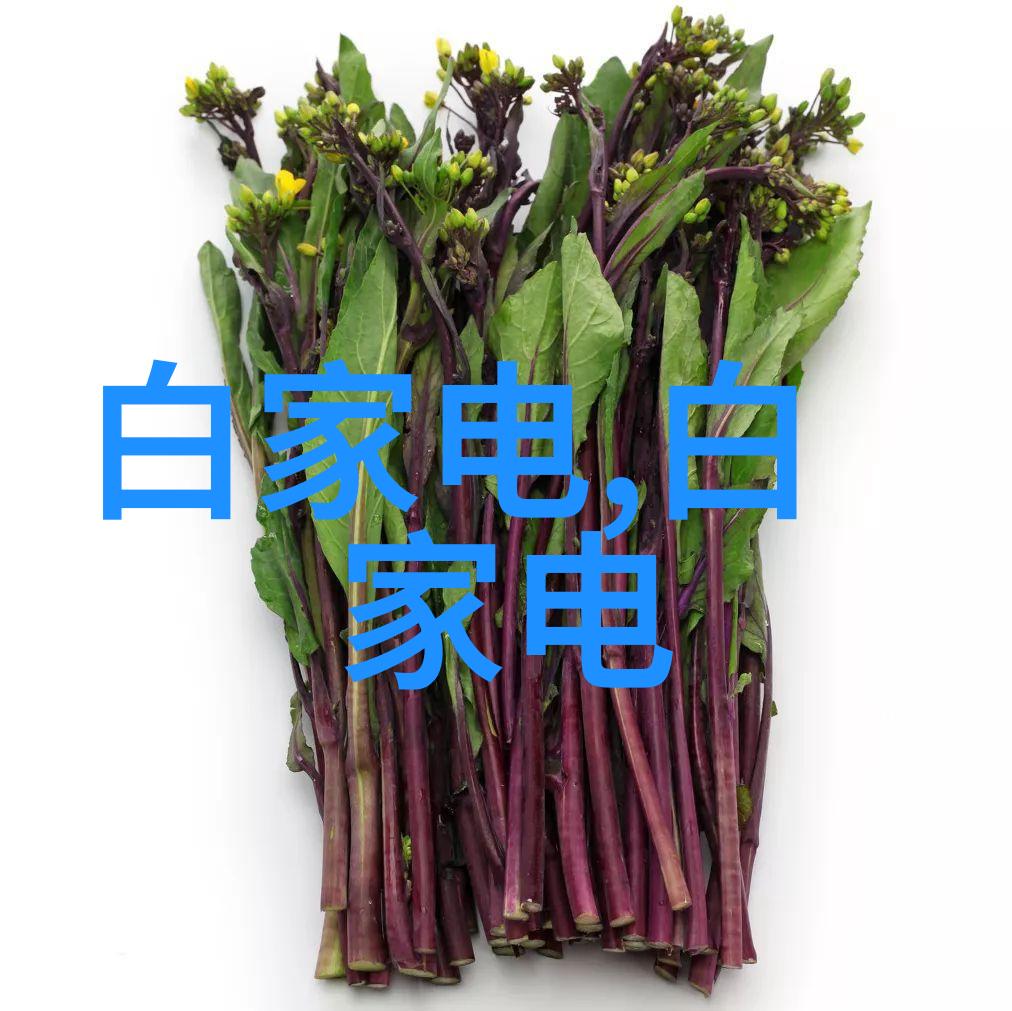 水利水电工程职业技术学院专注于水利水电领域的高等教育与实践培训