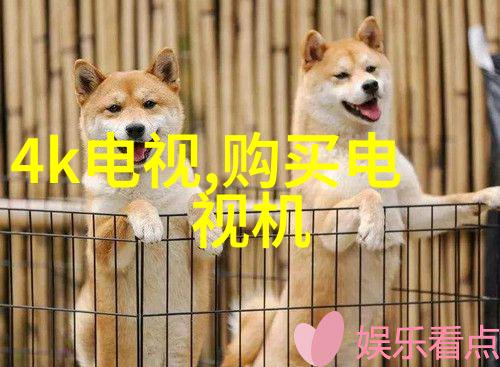 药物守护精准检测的坚实基础