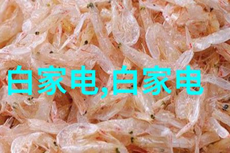 荒漠之心干燥设备设计的最后秘密