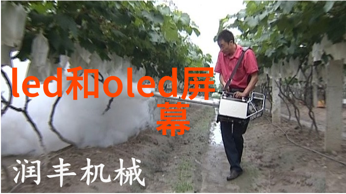 被窝里的秘密男友的不解之谜