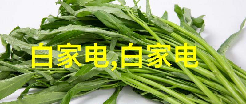 专利转让价格一览表技术赋能的市场价值盘点