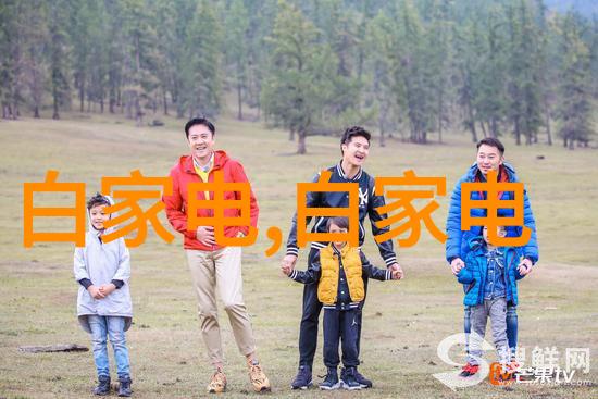 建设大师建造师的职业荣耀与挑战
