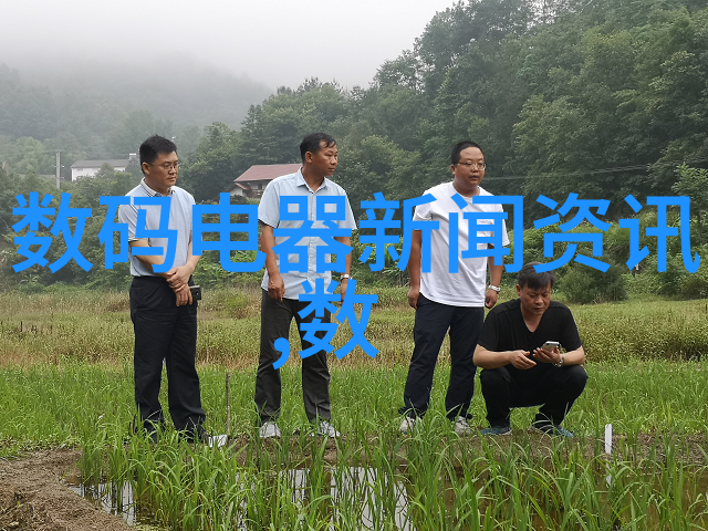 人工湿地火山岩填料我是如何在小区后院种出一片生机勃勃的火山湖