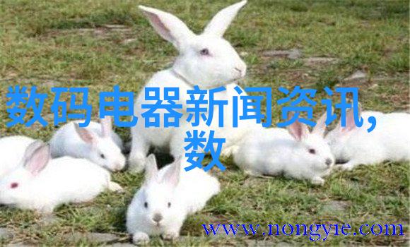 3月1日起回国不用核酸检测-新政策解读无需核酸检测的海外归途变革