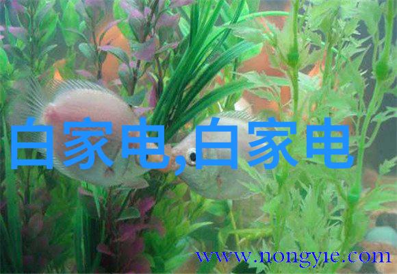 不锈钢填料是干什么用我是如何学会利用不锈钢填料提升家电维护的