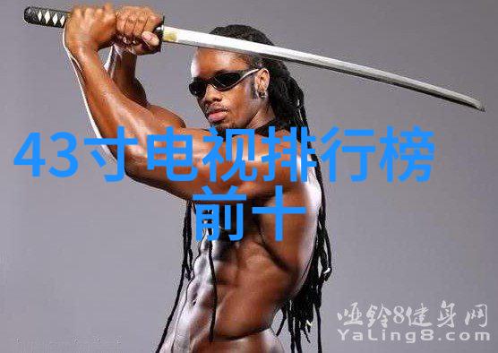 不锈钢输送机我的小助手在厨房的忙碌日子